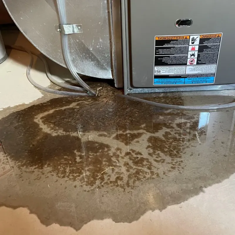 Pipe Burst and Leak Restoration in Holladay, UT